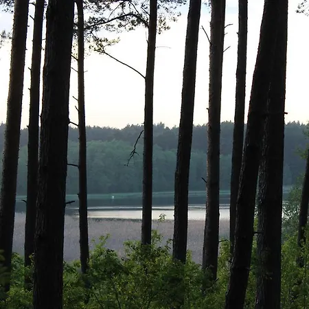 Agroturystyka Arkadia Nowa Studnica