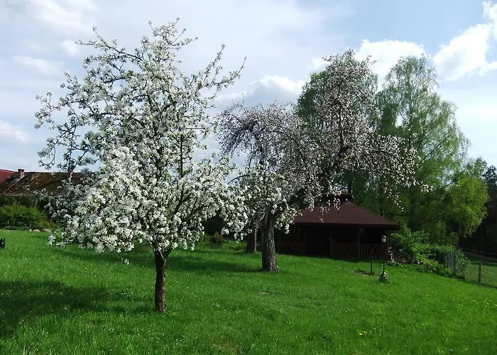 Κατάλυμα σε φάρμα Agroturystyka Arkadia Nowa Studnica