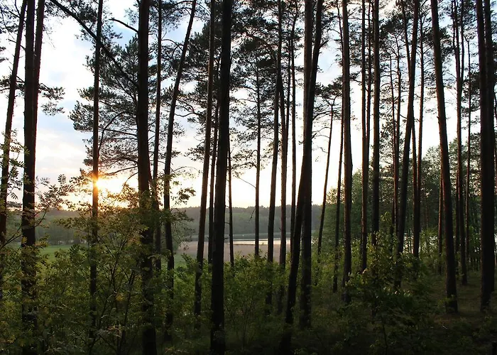 Κατάλυμα σε φάρμα Agroturystyka Arkadia Nowa Studnica